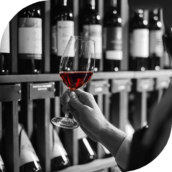 Vinos